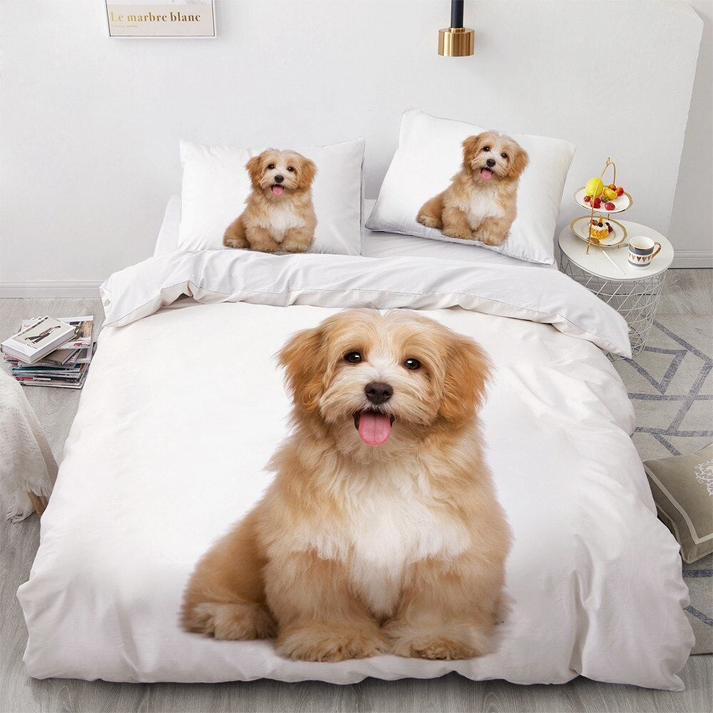 Valkoinen Havanese Pussilakana