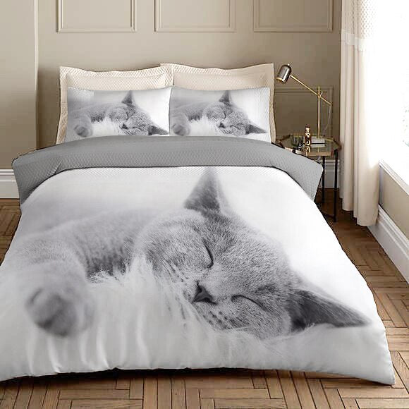 Valkoinen Chartreux Cat Pussilakana
