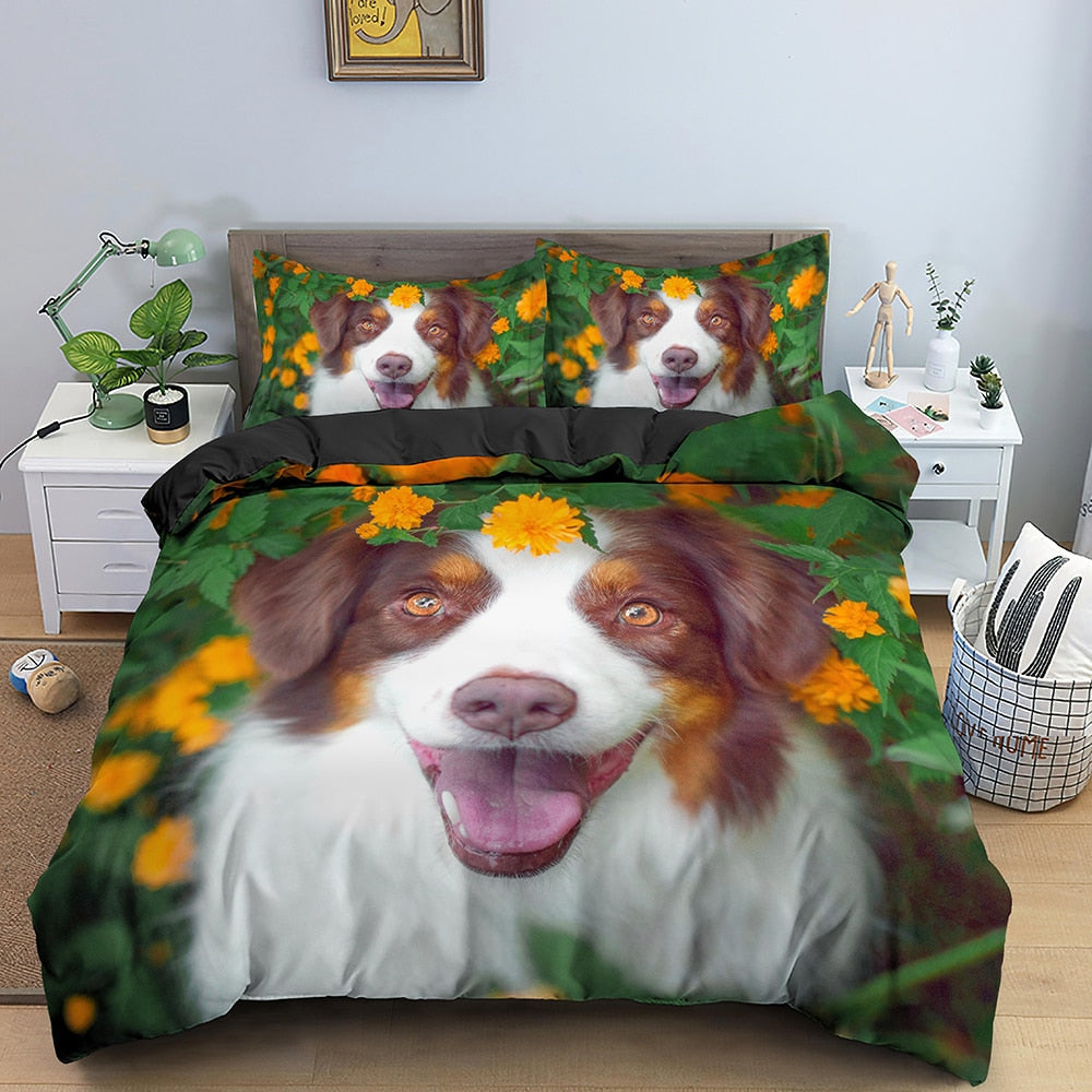 Bordercollie-Koiran Pussilakana