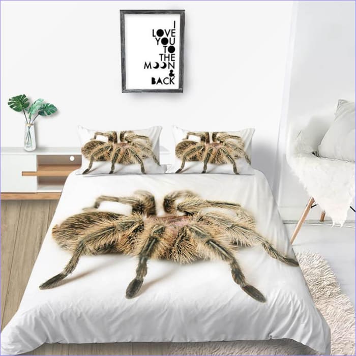 Desert Spider Pussilakana