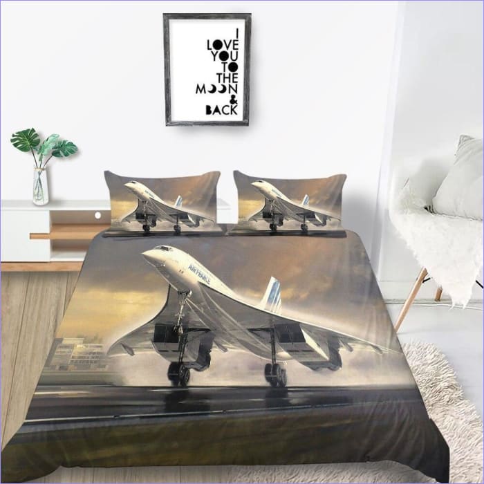 Concorde Airplane Pussilakana