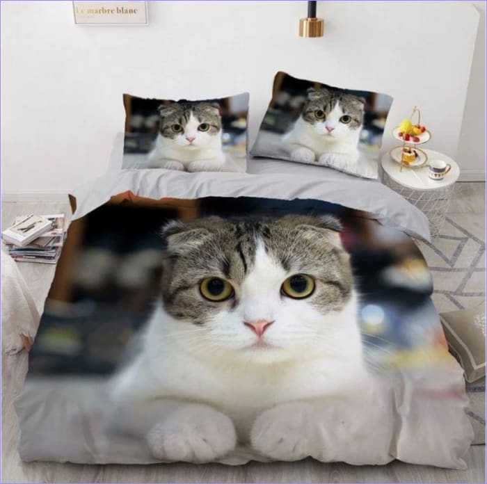 American Wirehair Kissan Pussilakana