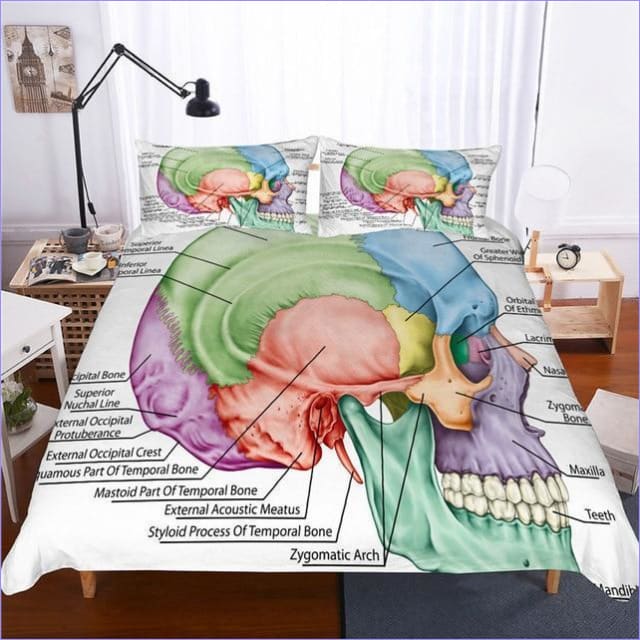 Alkuperäinen Pussilakanan Anatomy Crane