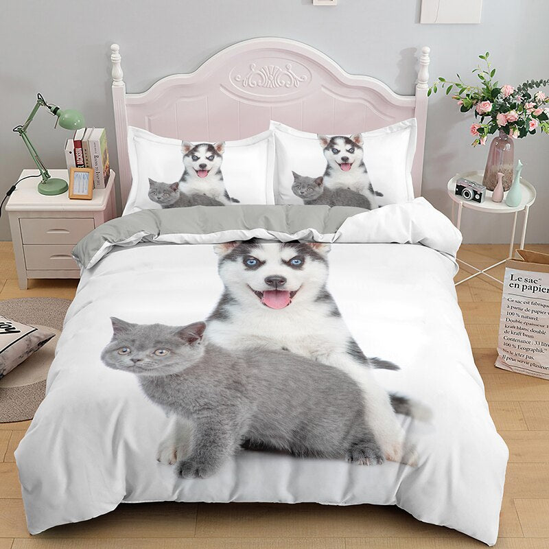 White Husky Ja Chartreux Pussilakana