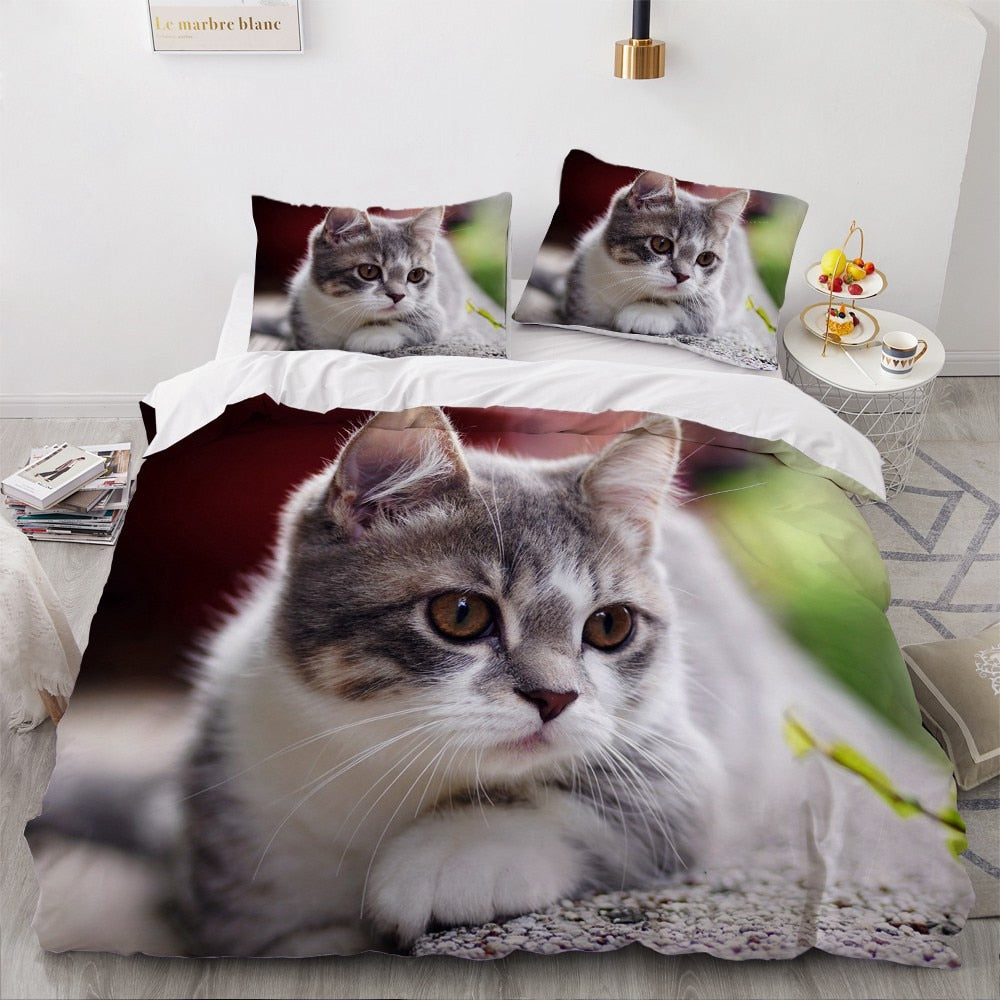 American Shorthair Kitten Pussilakana