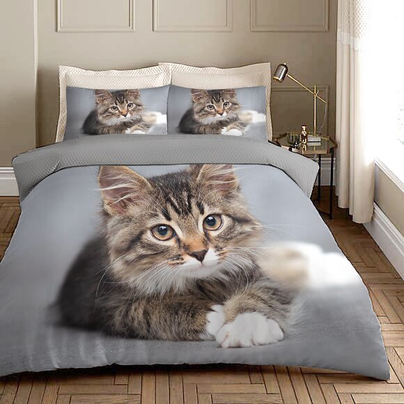 Harmaa Maine Coon Kitten Pussilakana