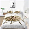 Desert Spider Pussilakana