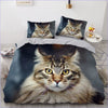 Maine Coon -Kissan Pussilakana