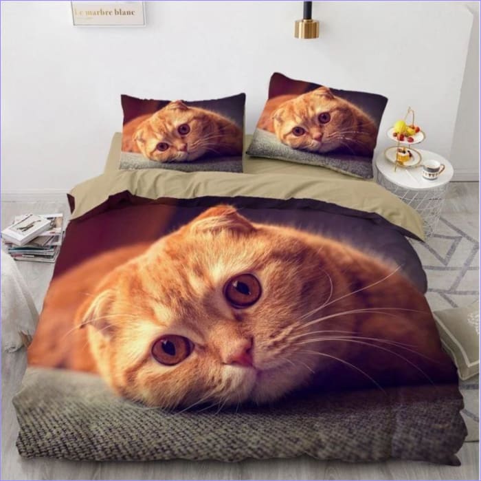 Scottish Fold Cat Pussilakana
