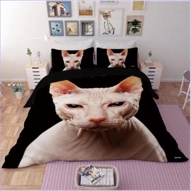 Sphynx Cat Pussilakana