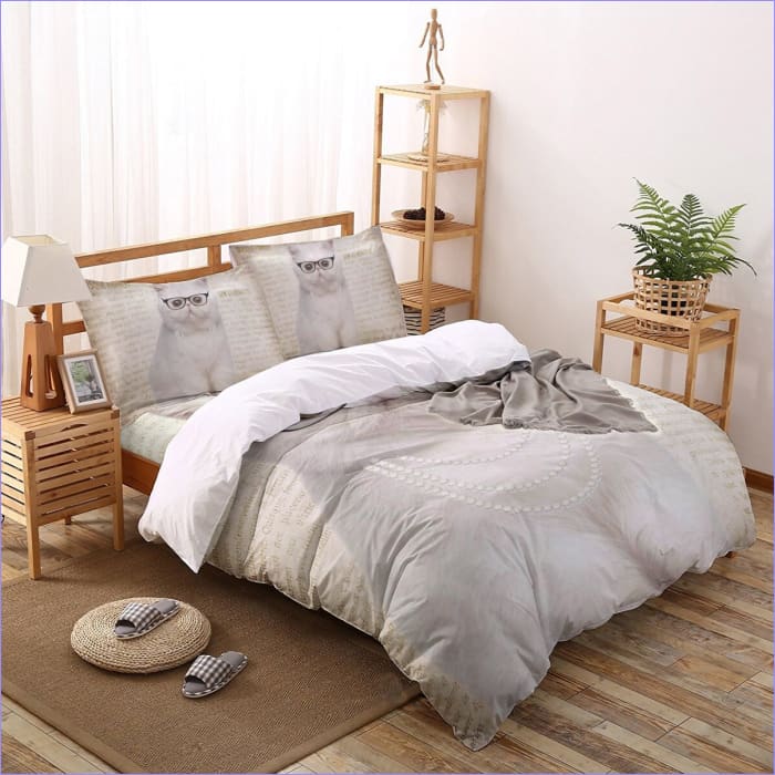 Pussilakana Kissa Ja Lasit