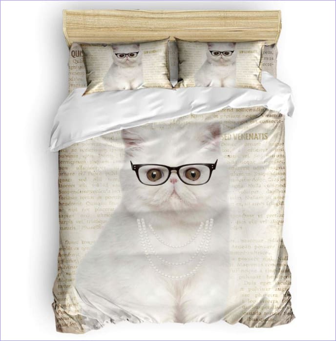 Pussilakana Kissa Ja Lasit