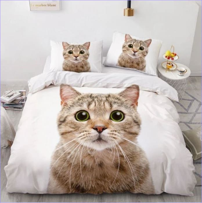 Yllättynyt Kissan Pussilakana