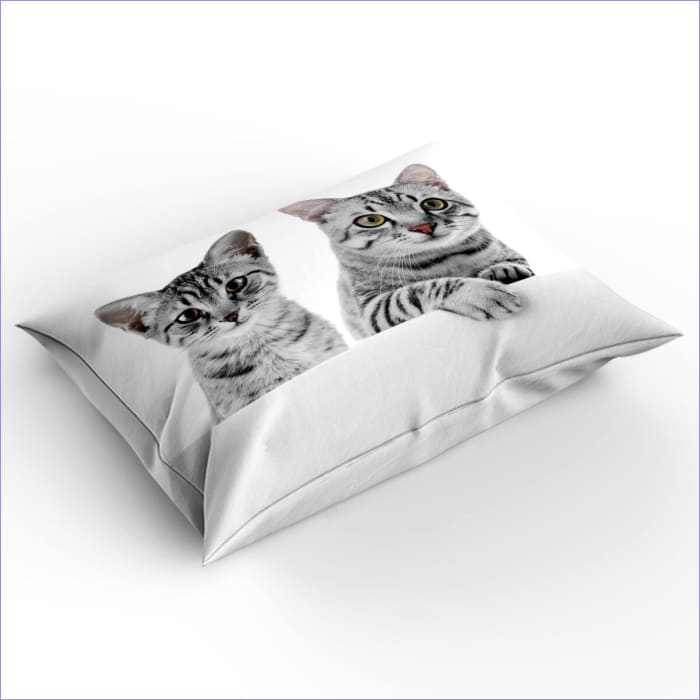 Pussilakana Kissojen Aamuhalaus