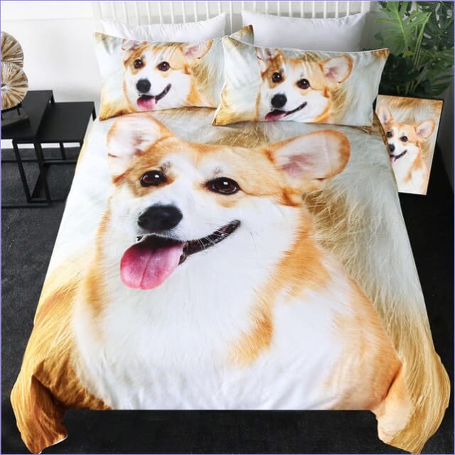 Corgi Pussilakana