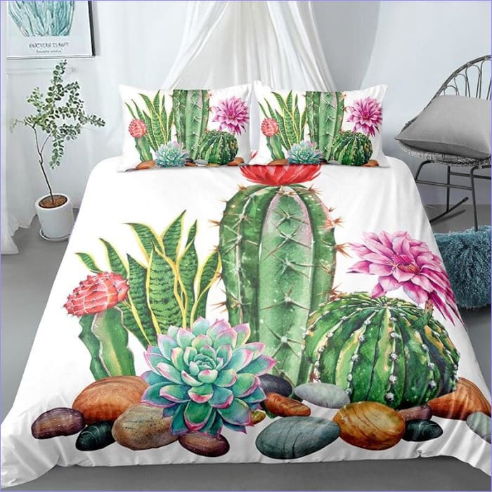 Pussilakana Cactus Kokoelma